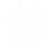 ico2